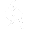 cours judo laval