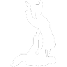 prix judo prix judo